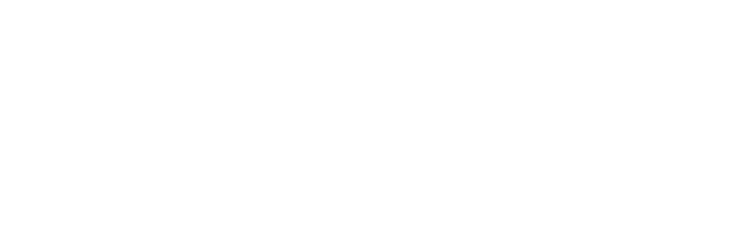 MedGen Medikal Kimyevi Limited Şirketi